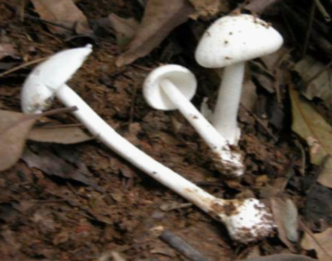 clip_image003.png clip_image003.png