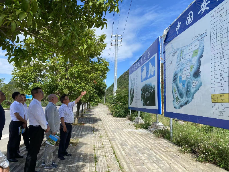 已編輯圖片