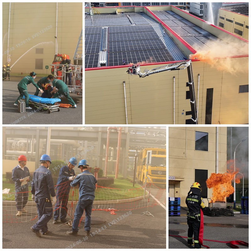 Collage_20240902_124726(1).jpg